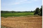 Property photo 14 - AUCTION POSTPONED